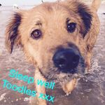 Karen Seaton - @seaton2597 - Instagram