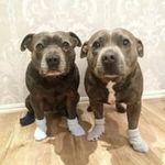 Karen Seaton-Hind - @seatonhind - Instagram