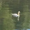 Karen Semple - @karen.semple - TikTok