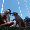 Karen Sequeira - @karen.sequeira4 - TikTok