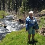 Karen Settle - @karen_settle6776 - Instagram