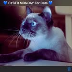 Karen settle - @settle7122 - Instagram
