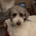 Karen Sheaffer - @ksheaffer2949 - Instagram