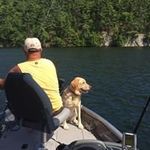 Karen Shimer - @shimerkaren - Instagram
