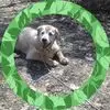 karenshimer7 - @kas06563 - TikTok