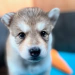 Karen Shockley - @shockley8411 - Instagram