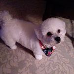 karen shoop - @shoop.karen - Instagram