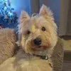 Karen Simmonds - @karen.simmonds1 - TikTok