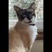 Karen Skillings - Facebook
