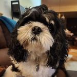 Karen Miller Skipper - @skipperkarenmiller - Instagram