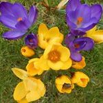 Karen Skipper - @skipper_karen - Instagram