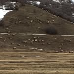 Karen Slaugh - @hidaho2 - Instagram