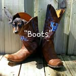 Karen Pase-Slone - @pasemaker1 - Instagram