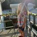Karen Slone - Facebook