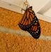 Karen Slusher - Facebook