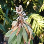 Karen Sonnenberg - @karen.sonnenberg.10 - Instagram