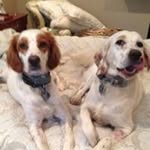 Karen Spratt - @karenlspratt - Instagram