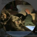 Karen Spratt - @mewatad471 - Instagram