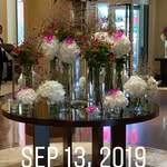 Karen Spratt - @innovativeevets - Instagram
