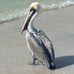 Karen Staab - Facebook