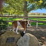 Karen Staggs - @karen.staggs1 - Instagram