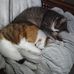 Karen Steinmann - Facebook