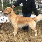 Karen Steinmann Goldberg - @karen_s_goldberg1 - Instagram
