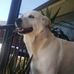 Karen Stice - Facebook
