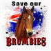 Karen Storer - Facebook