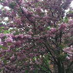 Karen Strecker - @strecker.karen - Instagram