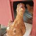 Karen Stricklin - Facebook