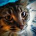 Karen Strobel - Facebook