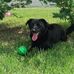 Karen Strobel - Facebook