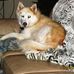 Karen Strobel - Facebook