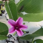 Karen Strobel - @kstrobel6343 - Instagram