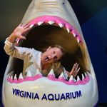 Karen Strobel Weiss - @kstrobel256 - Instagram