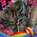 Karyn Struble - Facebook