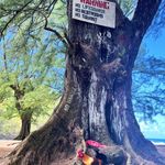 Karen McCalmon Stultz - @stultzkaren - Instagram