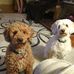 Karen Stumpf - Facebook