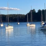 Karen Tanzer Mead - @karen.mead.589 - Instagram