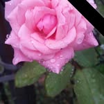 Karen Brandt Teets - @kitkat0456 - Instagram