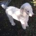 Karen Templin - Facebook