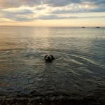 Karen Teter - @vapadanesi56 - Instagram