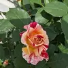 Karen Teters - @karenteters - TikTok