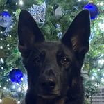 Karen Teters - @karen_teters - Instagram
