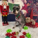 Karen Devaney Timms - @timms5771 - Instagram