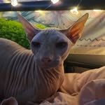 Karen Timms - @timmsk74 - Instagram