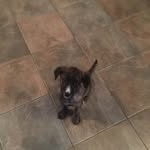 Karen Trace - @karentrace6 - Instagram