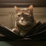 Karen Trantham - @karen.jauch.5 - Instagram