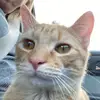 Karen - @karenullmann - TikTok